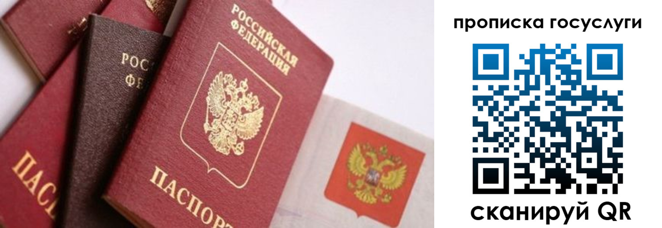прописка законно в Котово